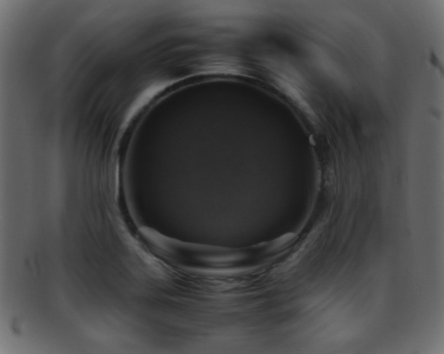 X0000095691323200801081240