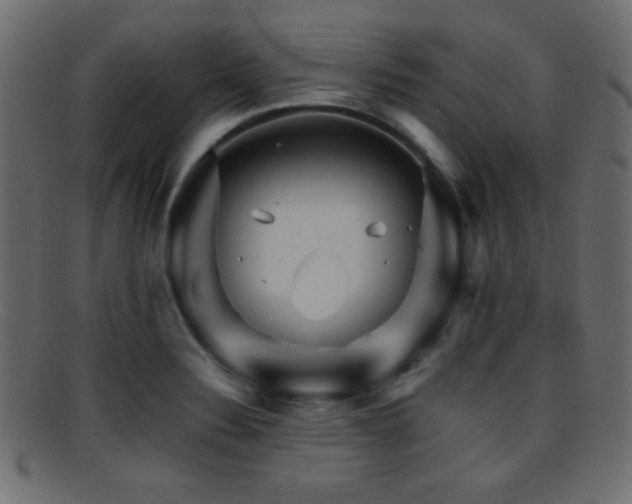 X0000095691324200801081240