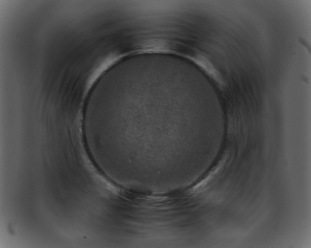 X0000095691325200801081240