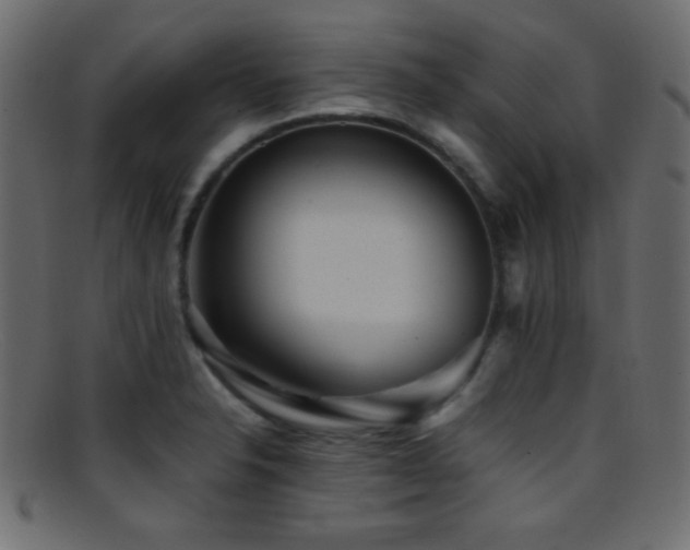 X0000095691326200801081240
