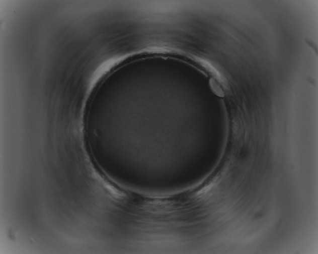 X0000095691327200801081240
