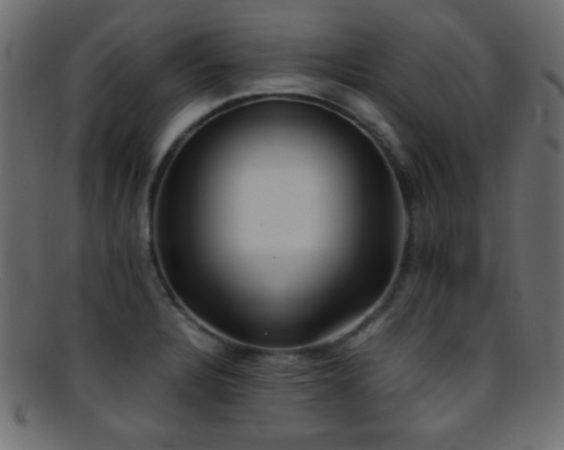 X0000095691328200801081240