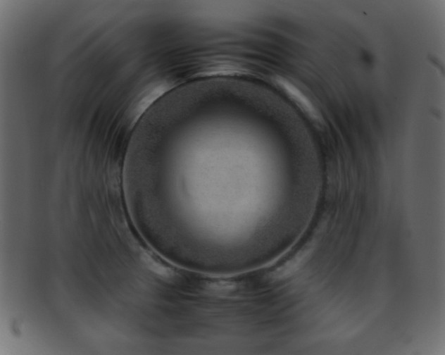 X0000095691329200801081240