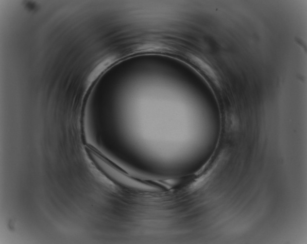 X0000095691330200801081240
