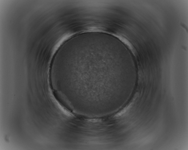 X0000095691333200801081240