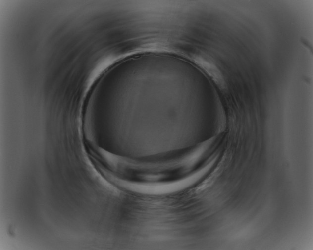 X0000095691334200801081240