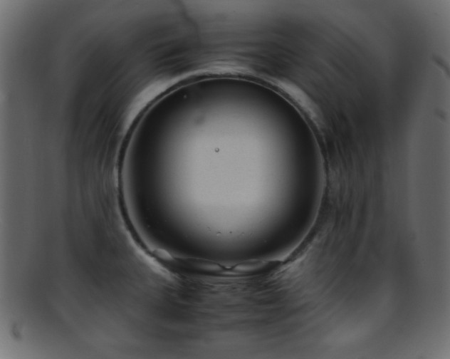 X0000095691335200801081240
