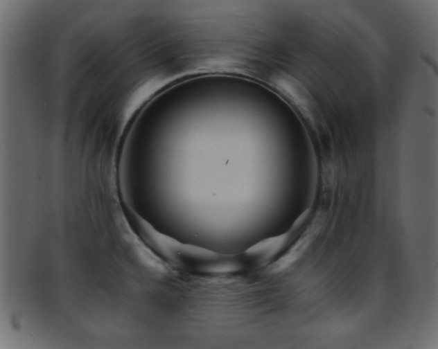X0000095691336200801081240