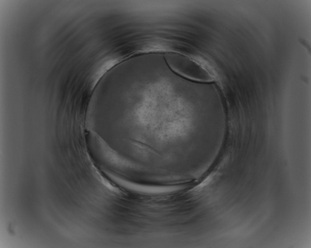 X0000095691337200801081240