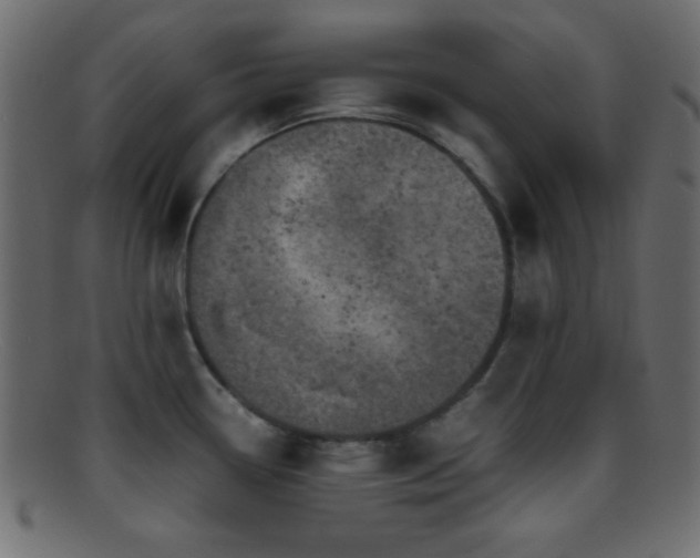 X0000095691338200801081240