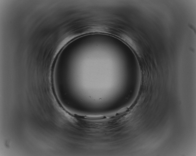 X0000095691339200801081240