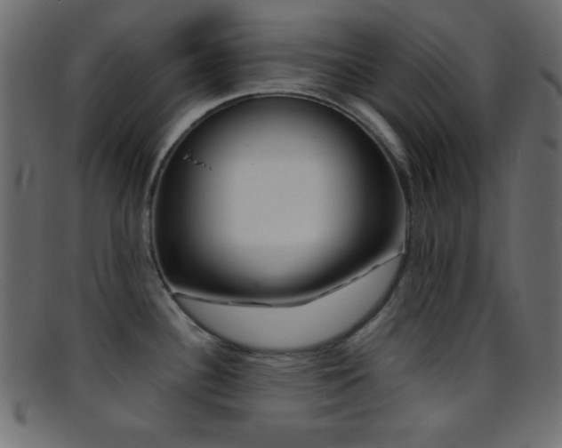 X0000095691340200801081240