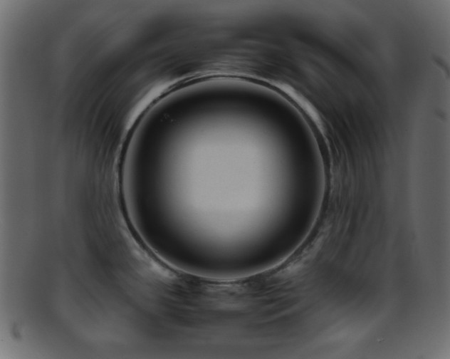 X0000095691341200801081240