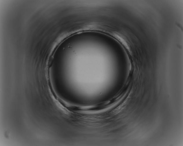 X0000095691342200801081240