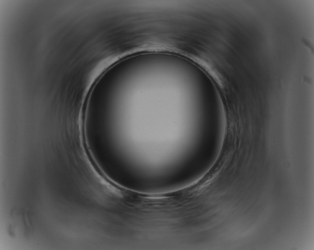 X0000095691343200801081240