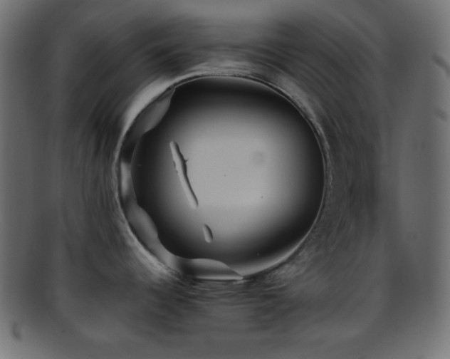 X0000095691344200801081240