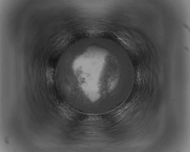 X0000095691346200801081239