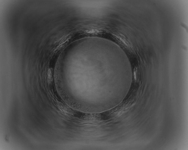 X0000095691347200801081239