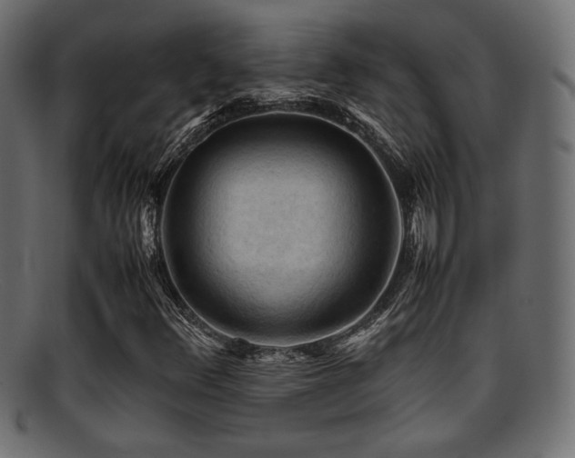 X0000095691348200801081239