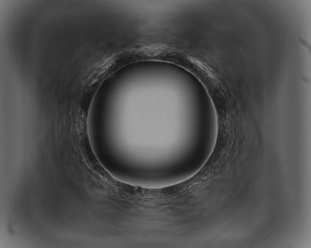 X0000095691349200801081239