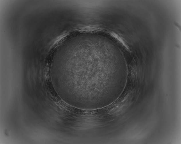 X0000095691350200801081239
