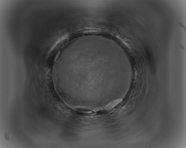 X0000095691351200801081239