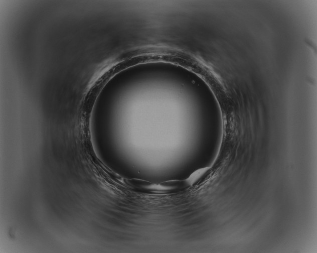 X0000095691352200801081239
