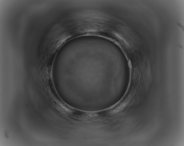 X0000095691353200801081239
