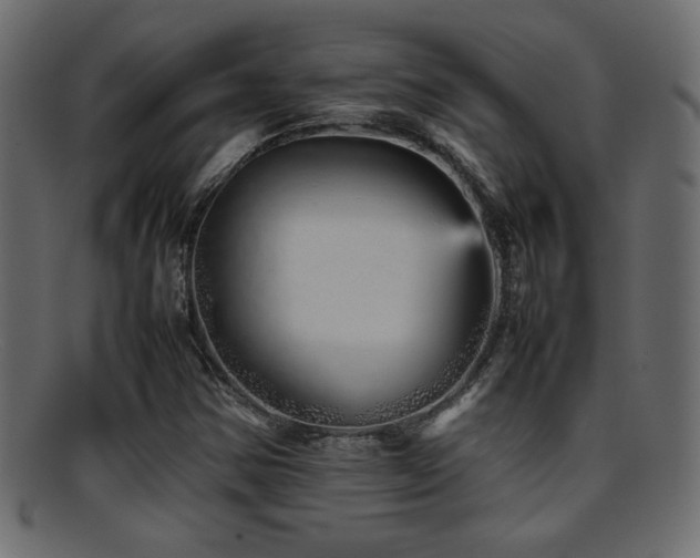 X0000095691354200801081239