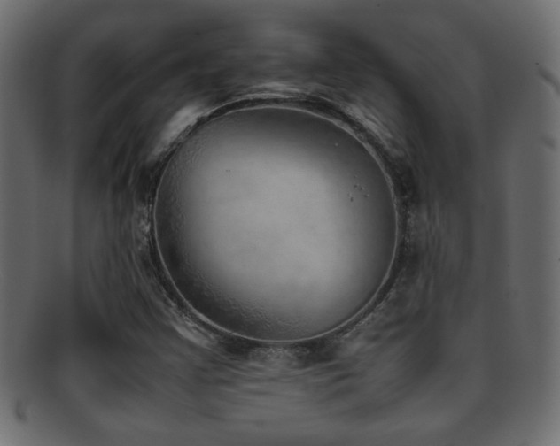 X0000095691355200801081239