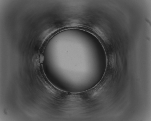 X0000095691356200801081239