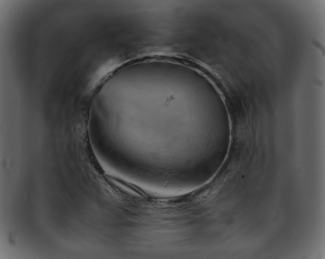X0000095691359200801081239