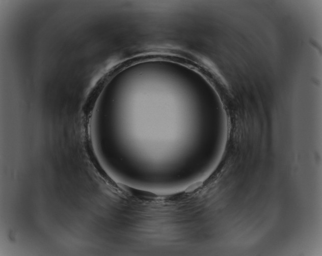 X0000095691360200801081239