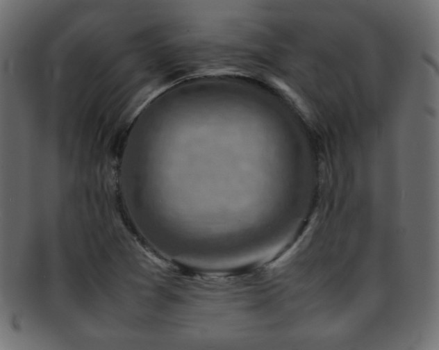 X0000095691361200801081239