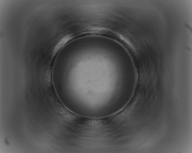 X0000095691362200801081239