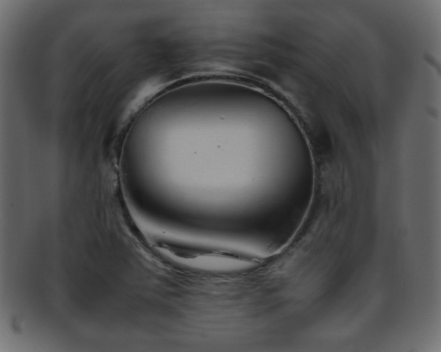 X0000095691363200801081239