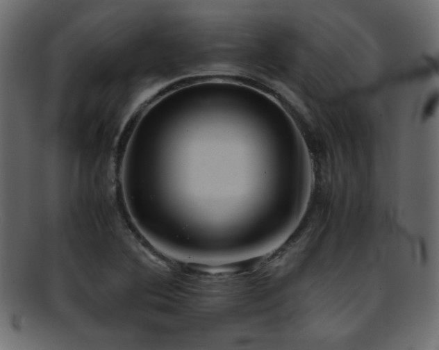 X0000095691364200801081239