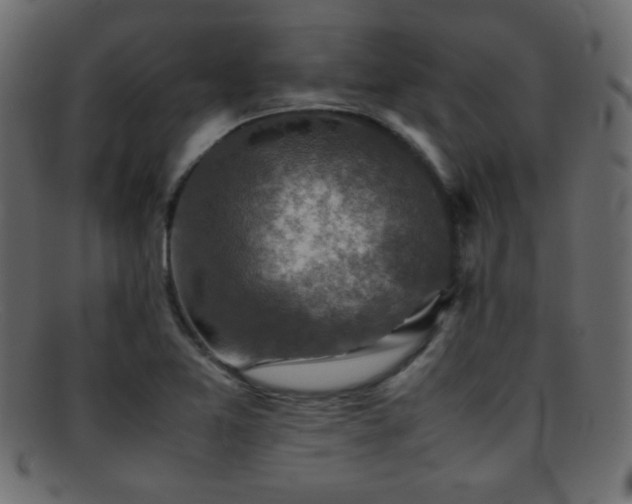 X0000095691365200801081239