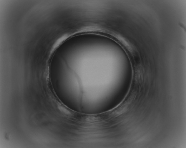 X0000095691366200801081239