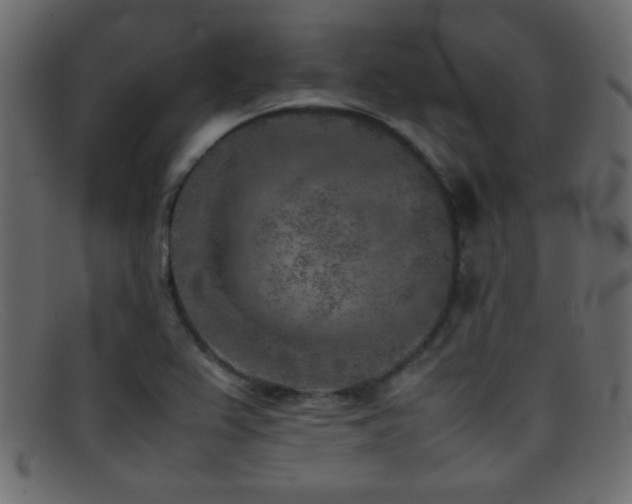 X0000095691367200801081239