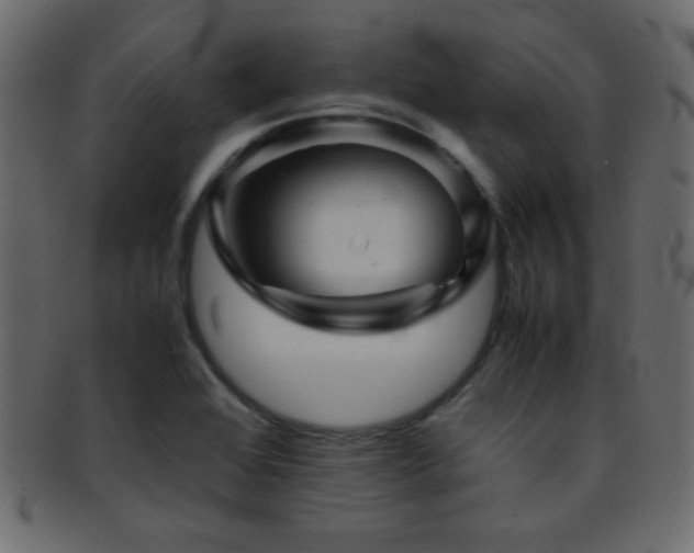 X0000095691368200801081239