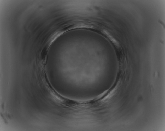 X0000095691369200801081239