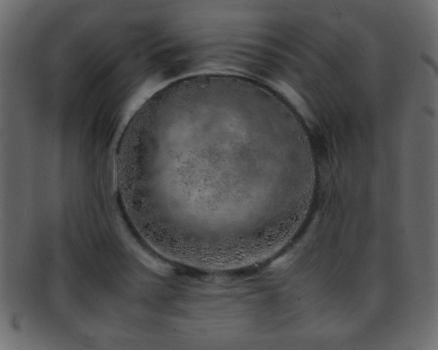 X0000095691371200801081239