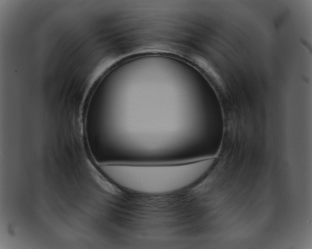 X0000095691372200801081239