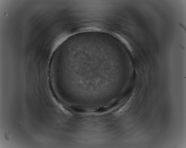 X0000095691373200801081239