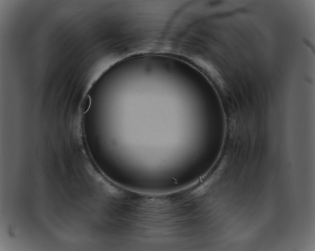 X0000095691374200801081239