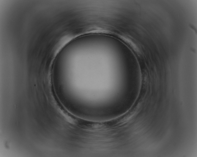 X0000095691375200801081239