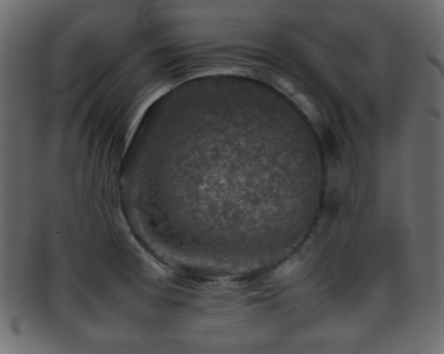 X0000095691377200801081239