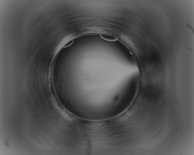 X0000095691378200801081239