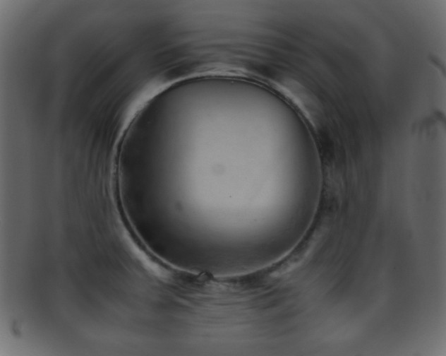 X0000095691379200801081239